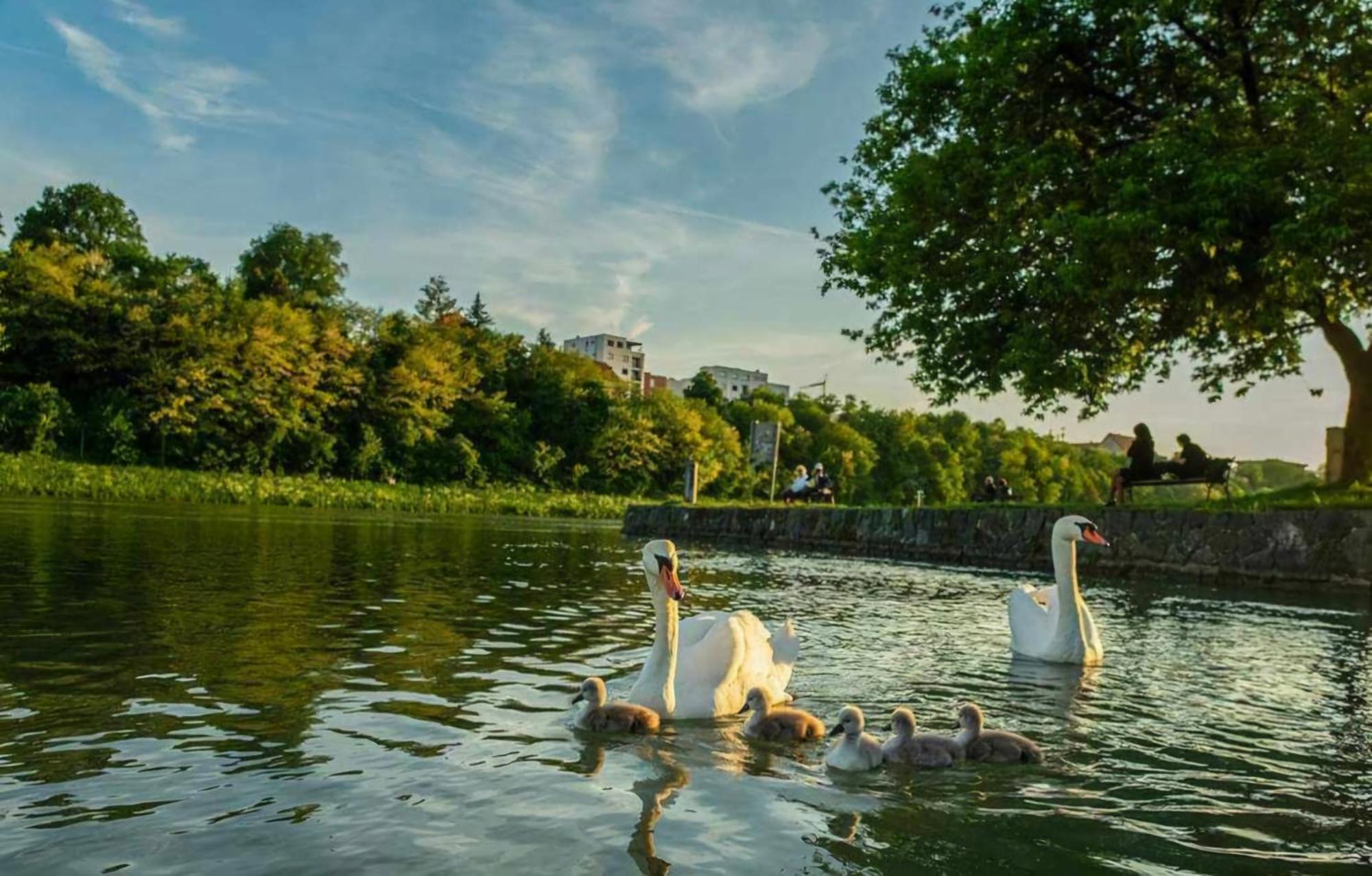 Apartment Dolce Vita Марибор Экстерьер фото