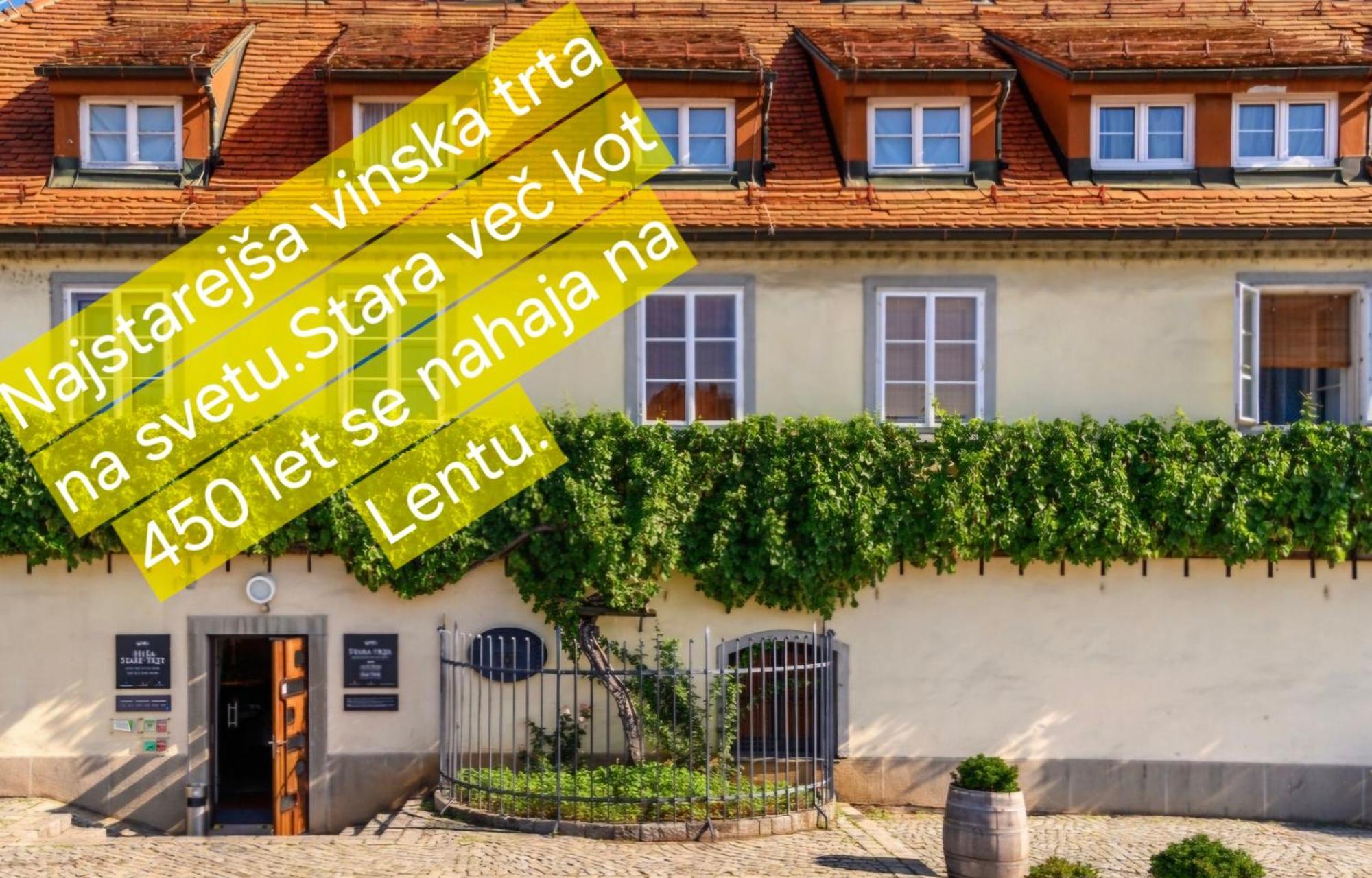 Apartment Dolce Vita Марибор Экстерьер фото